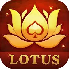 teen patti win pro download download